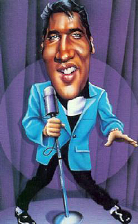 Elvis the Pelvis